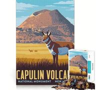 Rompecabezas de 1000 Piezas Viaje al volcán Capulin Juguete de Corte Premium para ejercitar la Mente Un Momento de Paz y diversión Regalo Ideal para cumpleaños (50x75cm)