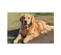 Rompecabezas de 1000 piezas Yyhwhjde Golden Retriever con imagen educativa intelectual de madera, rompecabezas divertidos, rompecabezas para aliviar el estrés