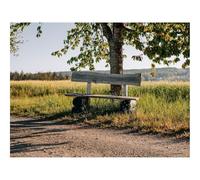 Rompecabezas de 1500 Piezas - -Banco,árbol,Ramas 87x57cm