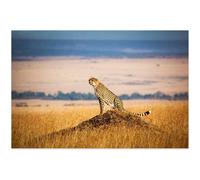 Rompecabezas de 300 piezas de guepardo con paisaje abierto para adultos: juguetes, regalos, decoración familiar, rompecabezas para niños.