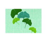 Rompecabezas de 300 Piezas de Hojas de Ginkgo Biloba en Acuarela con Caja para Adultos. Rompecabezas de Madera.