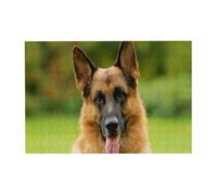 Rompecabezas de 300 Piezas de Pastor alemán Feliz para Adultos. Rompecabezas de Madera para Adultos Mayores.