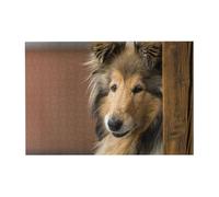 Rompecabezas de 300 Piezas de Rough Collie Lassie, Perros Grandes y esponjosos, para Adultos. Rompecabezas de Madera para Adultos Mayores.