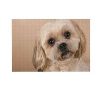 Rompecabezas de 300 Piezas de un Lindo Perro Shitzu para Adultos. Rompecabezas de Madera para Adultos Mayores.