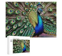 Rompecabezas de 300 piezas para adolescentes, coloridas ilustraciones de plumas de pavo real, 2 sierras de calar para adultos, juegos divertidos, regalo de cumpleaños, regalos únicos de cumpleaños y