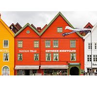 Rompecabezas de 3000 Piezas con Forma de casa de Madera de Colores para Adultos: Ideal para Relajarse, meditar y Juegos educativos (Mayores de 14 años)