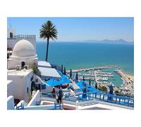 Rompecabezas de 3000 piezas, paisaje mediterráneo de Sidi Bou Said, la ciudad azul y blanca en Túnez