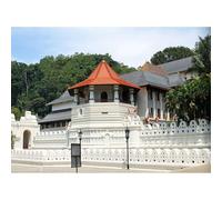 Rompecabezas de 3000 piezas, Templo del diente sagrado en Kandy, Sri Lanka, Lugar Santo Budisco, Juguete y Regalo Recuerdo Turístico