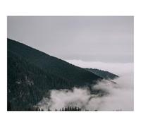 Rompecabezas de 500 Piezas - -bosques,árboles,Pendiente,Niebla,Nubes 52x38cm