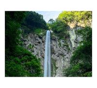 Rompecabezas de 500 Piezas - -Cascada,Rocas,Piedras,Musgo,Agua 52x38cm