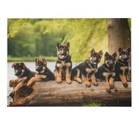 Rompecabezas de 500 piezas con cachorros de pastor alemán junto al lago, un divertido juego educativo e intelectual para todas las edades.