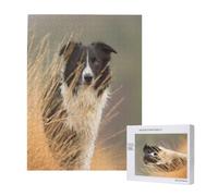 Rompecabezas de 500 Piezas de Madera, Juguete Familiar para Adultos y Adolescentes,Border Collie Césped Mascotas Borde Blanco Negro