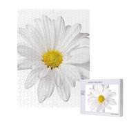 Rompecabezas de 500 Piezas de Madera, Juguete Familiar para Adultos y Adolescentes,Flor de Margarita Blanca con corazón Amarillo Brillante