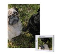 Rompecabezas de 500 Piezas de Madera, Juguete Familiar para Adultos y Adolescentes,Perro Pug Blanco y Negro