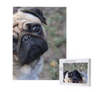 Rompecabezas de 500 Piezas de Madera, Juguete Familiar para Adultos y Adolescentes,Perro Pug Impreso