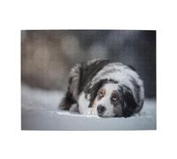 Rompecabezas de 500 Piezas de Pastor Australiano, Blanco como la Nieve, Gris y Blanco, para Adultos y Mayores.