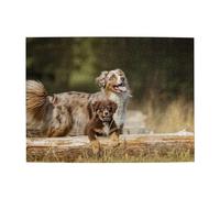 Rompecabezas de 500 Piezas de Perros pastores australianos y Perros Marrones australianos para Adultos Mayores.