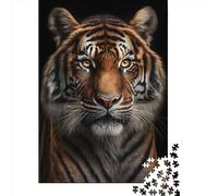 Rompecabezas de 500 Piezas El Tigre me mira a los Ojos para Adultos, Rompecabezas de Madera, Juego Educativo Familiar de 500 Piezas (52 x 38 cm).