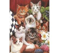 Rompecabezas de 500 Piezas en Papel Duradero Anti-Polvo con Póster Guía a Todo Color Múltiples Temas Diversión Familiar Decoración del Hogar (52×38cm)