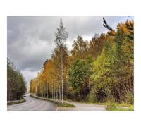 Rompecabezas de 500 Piezas - -Finlandia,Carretera,Madera 52x38cm