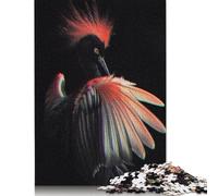 Rompecabezas de 500 Piezas para Adultos, diseño de Aves exóticas, Juego difícil y desafiante, 52 x 38 cm.