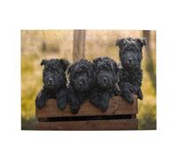 Rompecabezas de 500 Piezas para Adultos: Familia Affenpinscher, Cachorros, Perros Negros y Monos. Rompecabezas de Madera para Adultos Mayores.