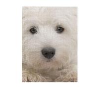 Rompecabezas de 500 Piezas para Adultos, familias, Juego de Rompecabezas para Toda la Familia, Rompecabezas desafiantes,Lindo Cachorro Westie