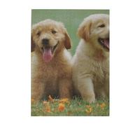 Rompecabezas de 500 Piezas para Adultos, familias, Juego de Rompecabezas para Toda la Familia, Rompecabezas desafiantes,Cachorros de Labrador Retriever Amarillo