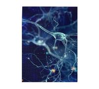 Rompecabezas de 500 Piezas para Adultos, familias, Juego de Rompecabezas para Toda la Familia, Rompecabezas desafiantes,Neurología de neuronas y células cerebrales en 3D