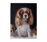 Rompecabezas de 500 Piezas para Adultos, familias, Juego de Rompecabezas para Toda la Familia, Rompecabezas desafiantes,Cavalier King Charles Spaniel, Madre con Cachorros