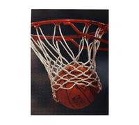 Rompecabezas de 500 Piezas para Adultos, familias, Juego de Rompecabezas para Toda la Familia, Rompecabezas desafiantes,Aro de Baloncesto