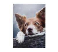 Rompecabezas de 500 Piezas para Adultos, familias, Juego de Rompecabezas para Toda la Familia, Rompecabezas desafiantes,Dios Bokeh de Border Collie Marrón con Ojos Amarillos
