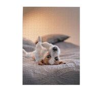 Rompecabezas de 500 Piezas para Adultos, familias, Juego de Rompecabezas para Toda la Familia, Rompecabezas desafiantes,Lindo Perrito Jack Russell Terrier