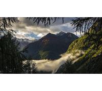 Rompecabezas de 500 Piezas: Regalos creativos y únicos para la decoración de Paredes del hogar 14 años+