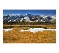 Rompecabezas de 5000 piezas para adultos, paisaje natural, bosque, nieve abundante, árboles y picos montañosos