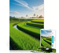 Rompecabezas de arrozales al Amanecer para Adultos, 1000 Piezas, Juego Inteligente, patrón Tranquilo y Relajante, Regalo increíble (50x75cm)