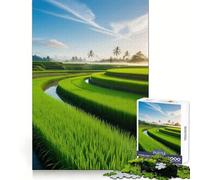 Rompecabezas de arrozales al Amanecer para Adultos, 1000 Piezas, Juego Inteligente, patrón Tranquilo y Relajante, Regalo increíble (50x75cm)