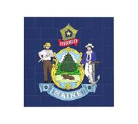 Rompecabezas de bloques de construcción cuadrados creativos con diseño de bandera del estado de Maine, decoración de escritorio para el hogar