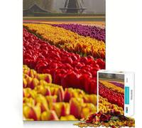 Rompecabezas de Campos de Tulipanes de los Países Bajos, 1000 Piezas para Adultos Mejora la Memoria Momento de Paz Bordes Finos Regalo Ideal para Pedir un Deseo a Papá Noel (38x26cm)