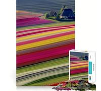 Rompecabezas de Campos de Tulipanes de los Países Bajos para Adolescentes, 1000 Piezas, Juguete de lógica de Tren, cómodo, Relajante, Corte Suave, Regalo para Festivales (38x52cm)