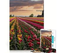 Rompecabezas de Campos de Tulipanes de los Países Bajos para Adolescentes, 1000 Piezas, Juguete para ejercitar la Mente, Actividad artística para armar en casa, (50x75cm)