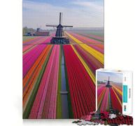 Rompecabezas de Campos de Tulipanes de los Países Bajos para Adultos, 1000 Piezas, Juguete Intelectual, Alivio del estrés, Corte preciso, (38x52cm)