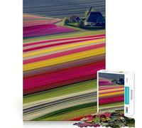Rompecabezas de Campos de Tulipanes de los Países Bajos para Adultos, 1000 Piezas, Juguete Intelectual, Alivio del estrés, Corte preciso, (38x26cm)