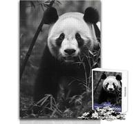 Rompecabezas de fotografía de Pandas de 1000 Piezas para Adolescentes, Juego de Aprendizaje de Pensamiento estratégico, Regalo Ideal y significativo para Cualquier Evento, tamaño 38x52cm