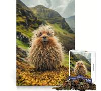 Rompecabezas de Haggis escocés Salvaje de 1000 Piezas para Adultos Potencia la Mente, Relajante y Divertido Bordes Uniformes Regalo Original (50x75cm)