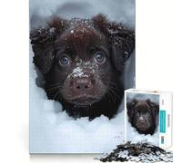 Rompecabezas de Labrador Retriever de Nieve para Adolescentes, 1000 Piezas, Colección de Arte de Corte Claro, Mejora de Recuerdos, Calma y Relajación (38x52cm)