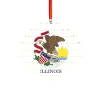 Rompecabezas de ladrillo artesanal, bloque de construcción, decoración 3D, regalo pensativo, bandera del estado de Illinois