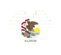 Rompecabezas de ladrillo artístico en forma de corazón con la bandera del estado de Illinois, bloques de construcción, 30 piezas, regalo relajante