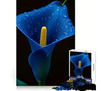 Rompecabezas de Lirios Cala Azules con Gotas de rocío, 1000 Piezas, para Adolescentes Desarrolla la Memoria, es Relajante, Tiene Bordes limpios y es un Regalo Ideal (38x26cm)