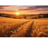 Rompecabezas de Madera Campo de Trigo Dorado, 1000 Piezas para Adultos, Paisaje campestre al Atardecer (Nature ; 1000 Piece)